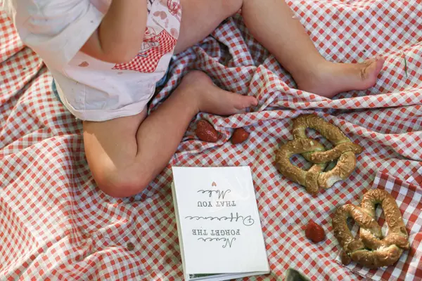 Picnic details: pretzels and a book on a gingham blanket, outdoor photography by Photoholic, Rockland County NY