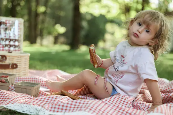 Toddler on a red gingham picnic blanket, outdoor photography by Photoholic, Rockland County NY